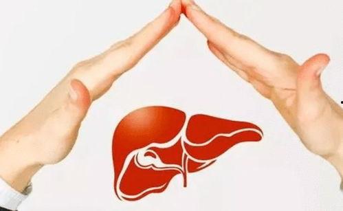 娱乐吃瓜酱吃软不吃硬,娱乐吃瓜酱的独到品味