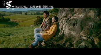 只有芸知道 电影背景,揭秘只有芸知道背后的爱情与梦想