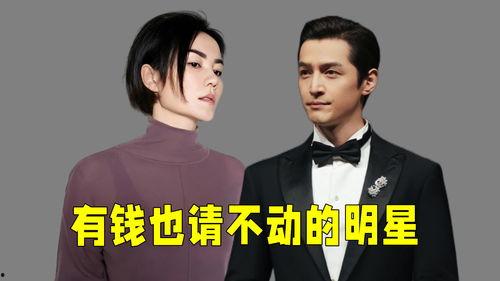 请明星价格,明星出场费背后的秘密与趋势